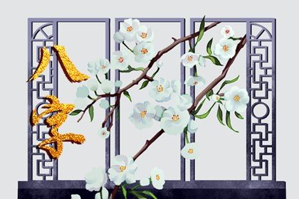 命宫身宫速读